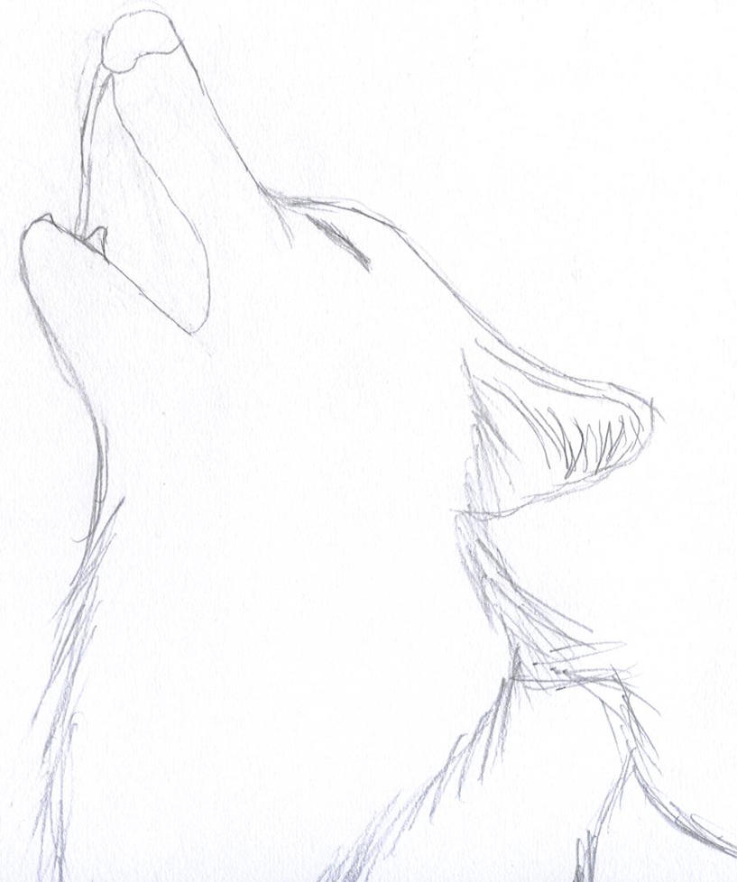 A sketch of a wolf howling by IluvAtem on DeviantArt