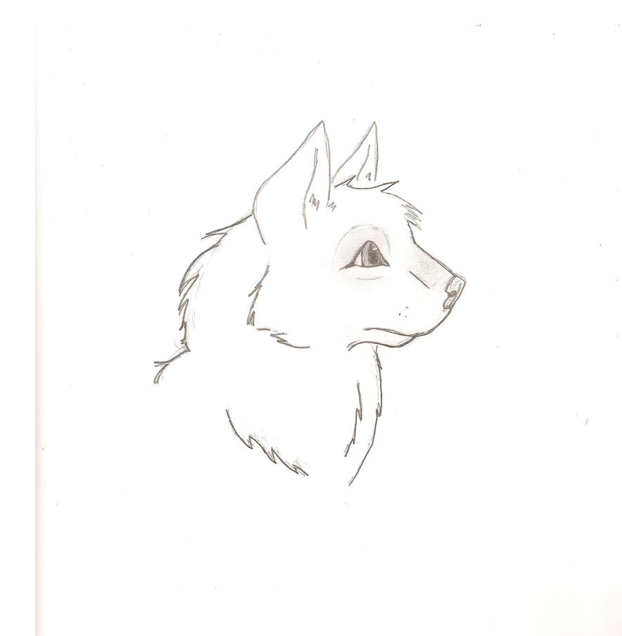 Wolf pup sketch by RenSukiyari on DeviantArt