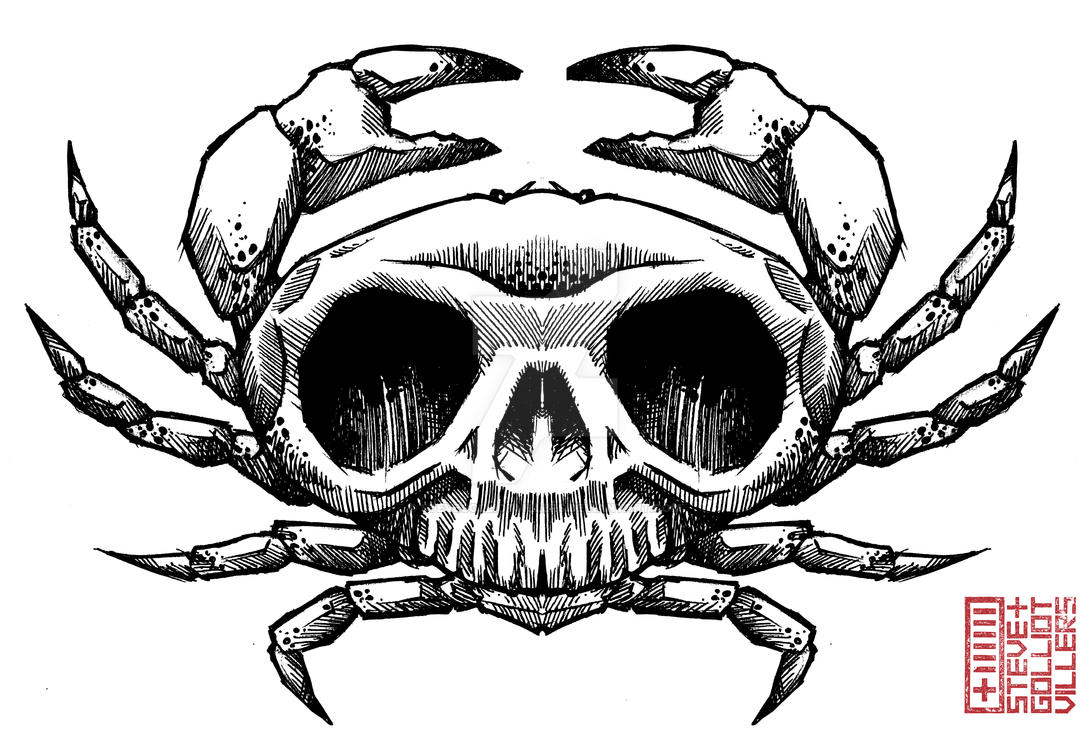skull_crab_001_by_stevegolliotvillers-dcwfwv5.jpg
