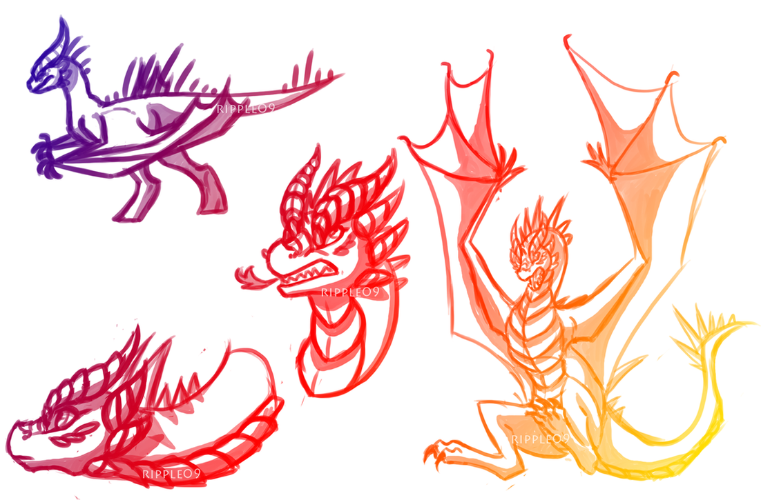 Dragon Sketches by ripple09 on DeviantArt