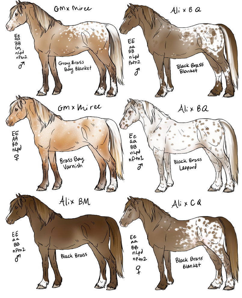More Proto-Barrancas Horses by daughterofthestars on DeviantArt