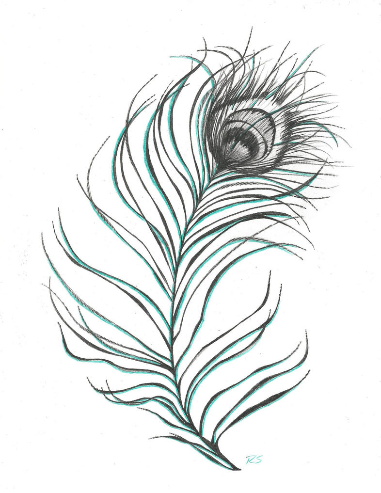 Peacock Feather by rshaw87 on DeviantArt
