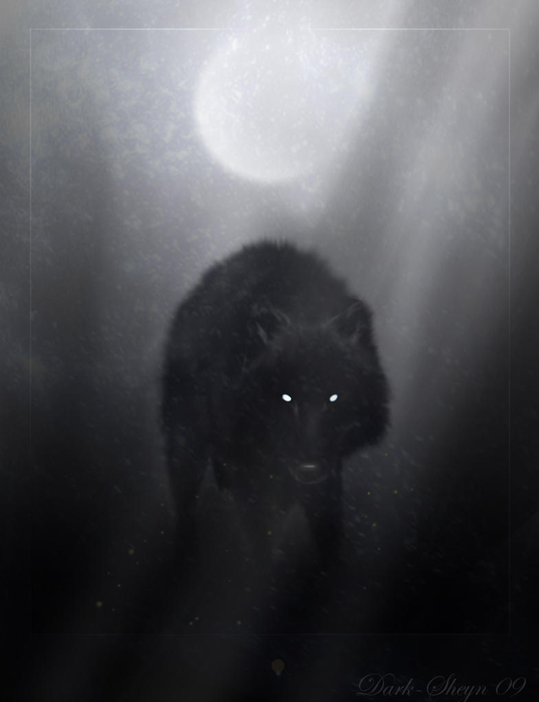wolf_of_winter_night_by_dark_sheyn.jpg
