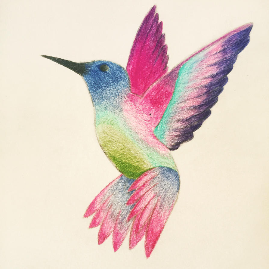 Cute hummingbird coloured pencils by AllTimeLily on DeviantArt