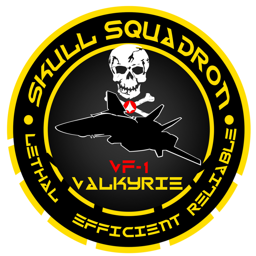 skull_squadron_order_by_atlas0maximus-d3echbc.png