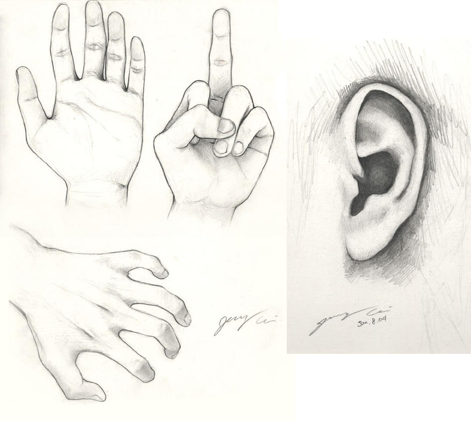 Pencil Sketching - Hands n Ear by JerryCai on DeviantArt
