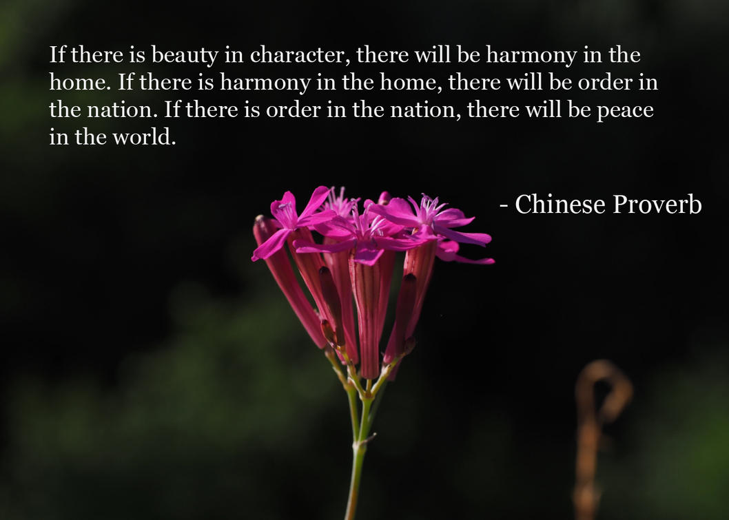 Chinese Proverb - If there is beauty in... by Leafeo
