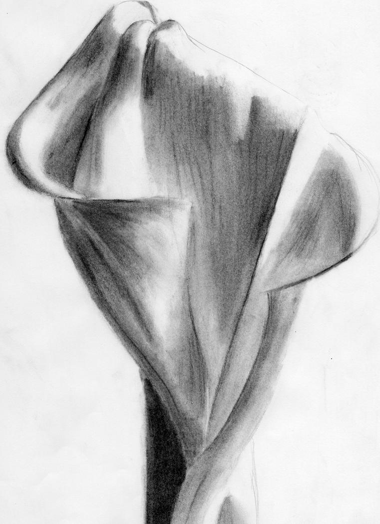 Charcoal Pencil Drawing Flowers