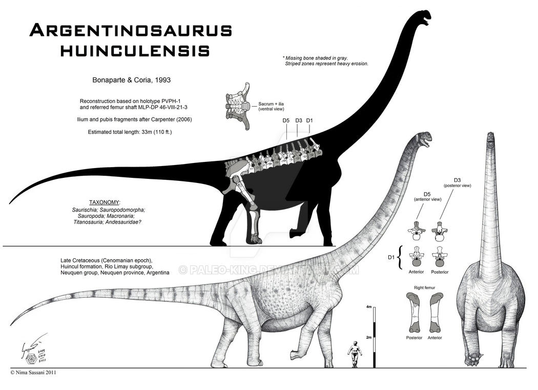 Argentinosaurus huinculensis by Paleo-King on DeviantArt