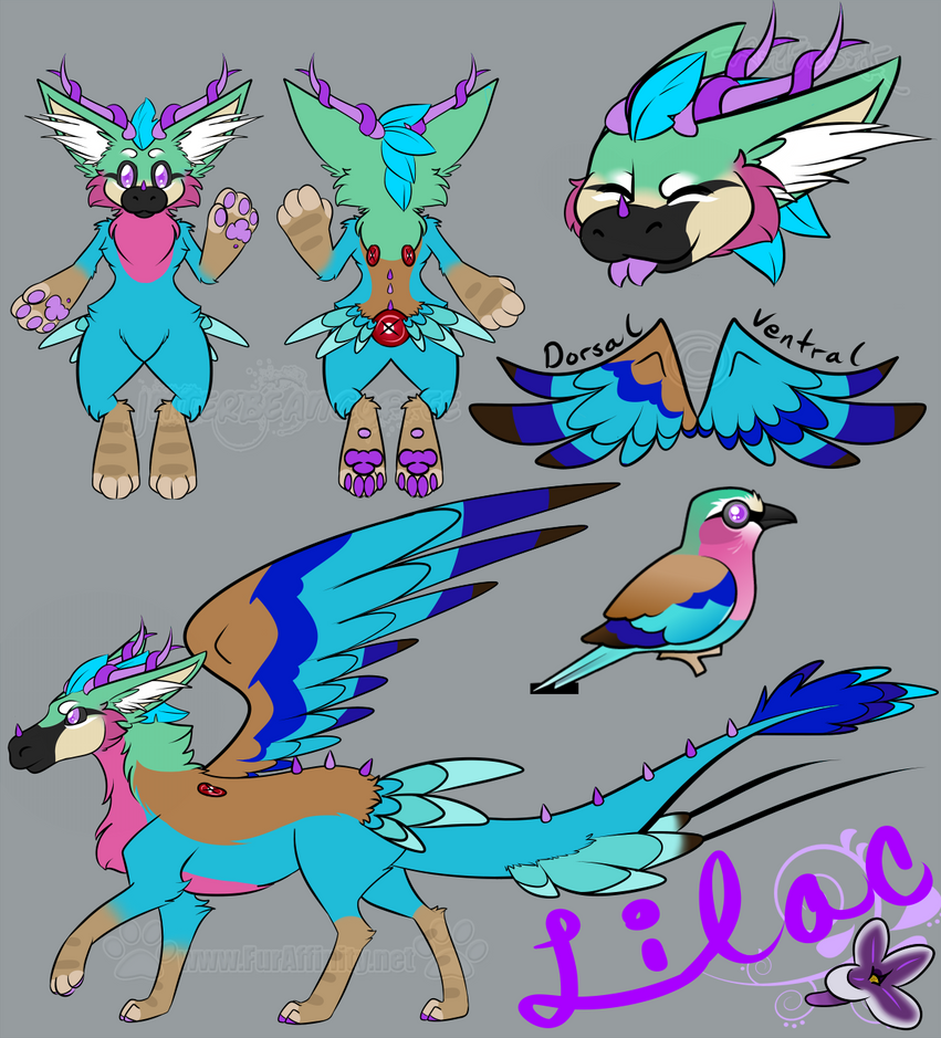 Lilac Dutch Angel Dragon Ref Sheet by BlueWaterRose on DeviantArt