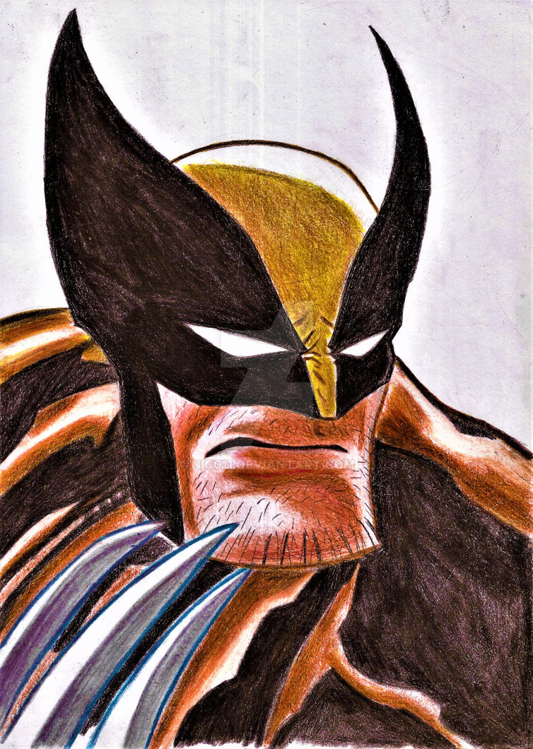 Wolverine by nic011