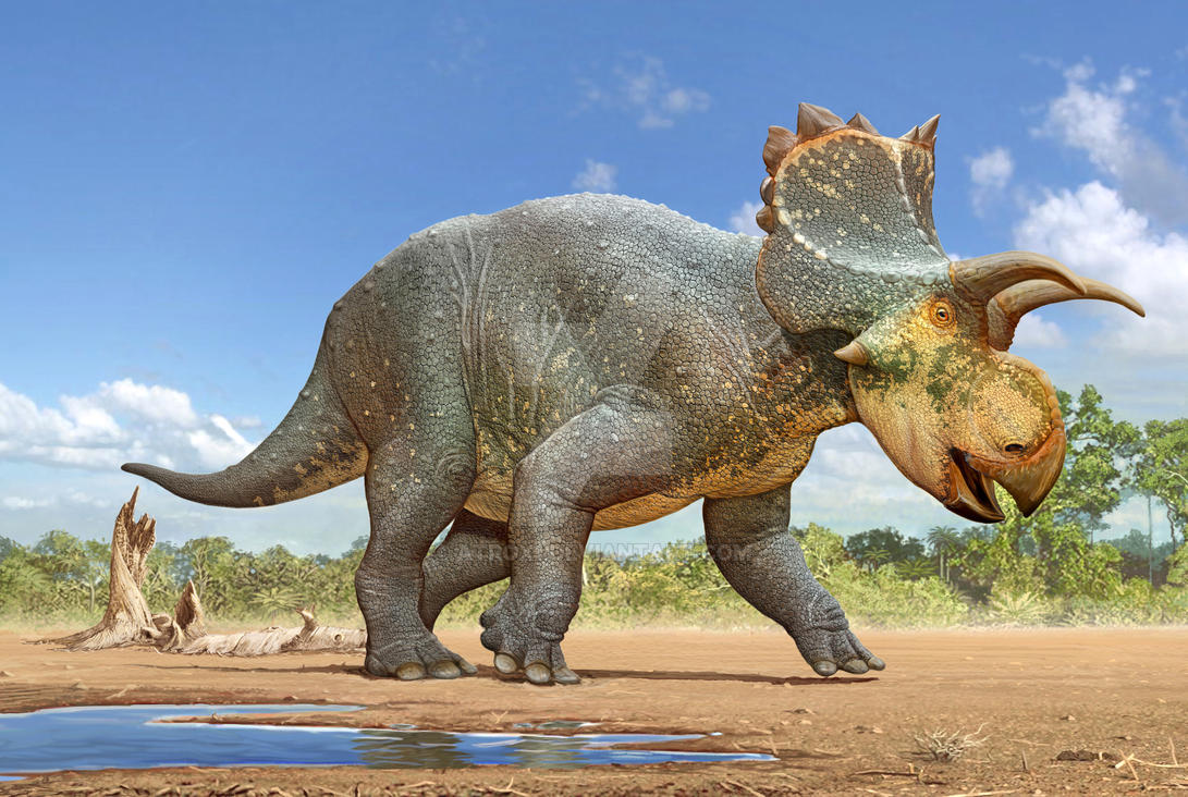 crittendenceratops_krzyzanowskii_by_atrox1-dcr3byl.jpg