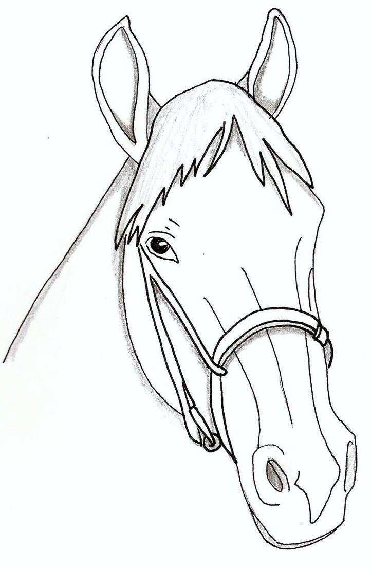 horse face by Trip459 on DeviantArt