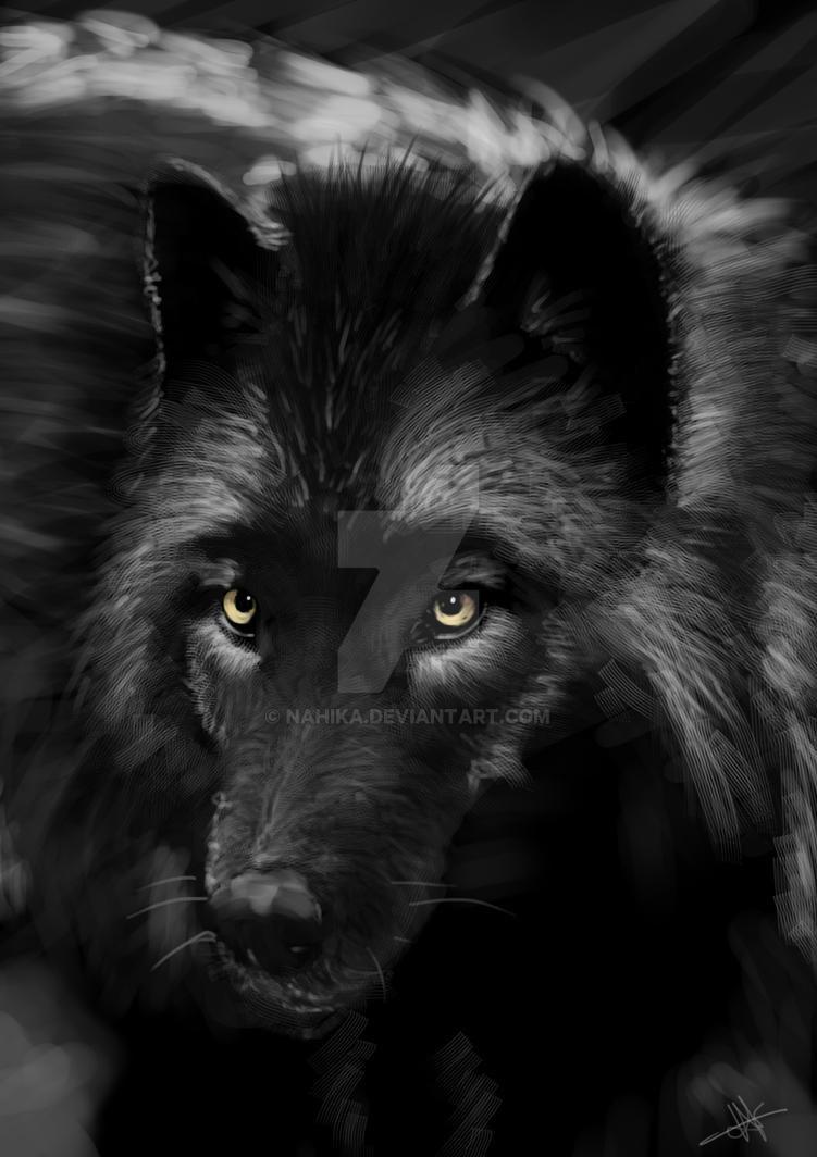 Black Wolf by Nahika on DeviantArt