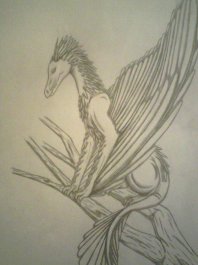 thunderbird dragon