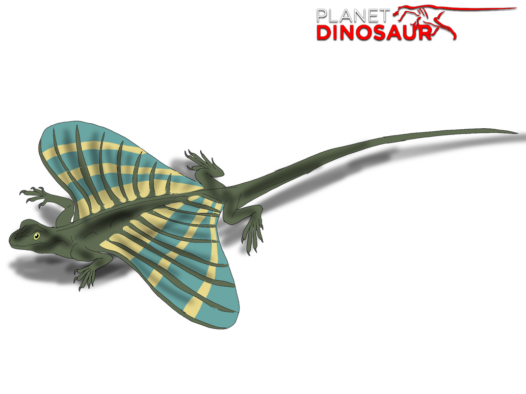 Planet Dinosaur- Xinaglong by Vespisaurus