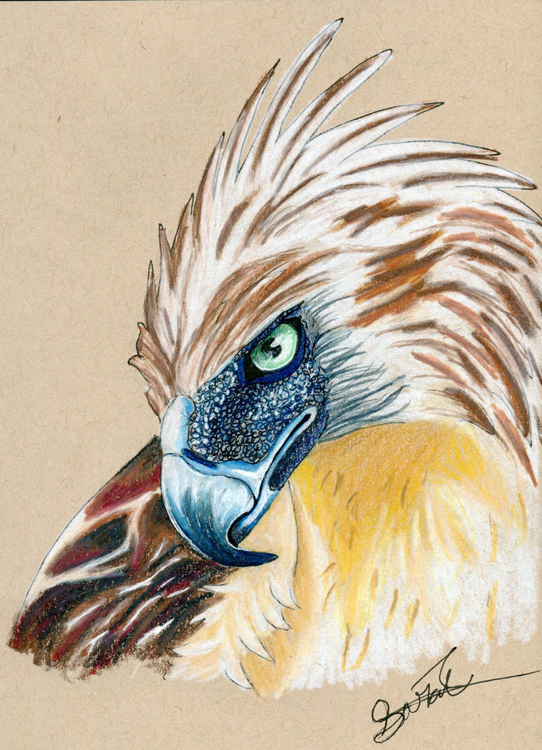 philippine_eagle_by_larkoftheriver-datbc