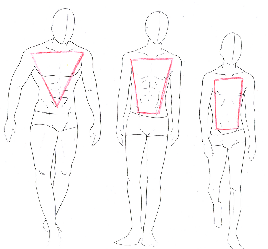 Male Body Types Reference Drawing Human Proportions Lessons Body Face