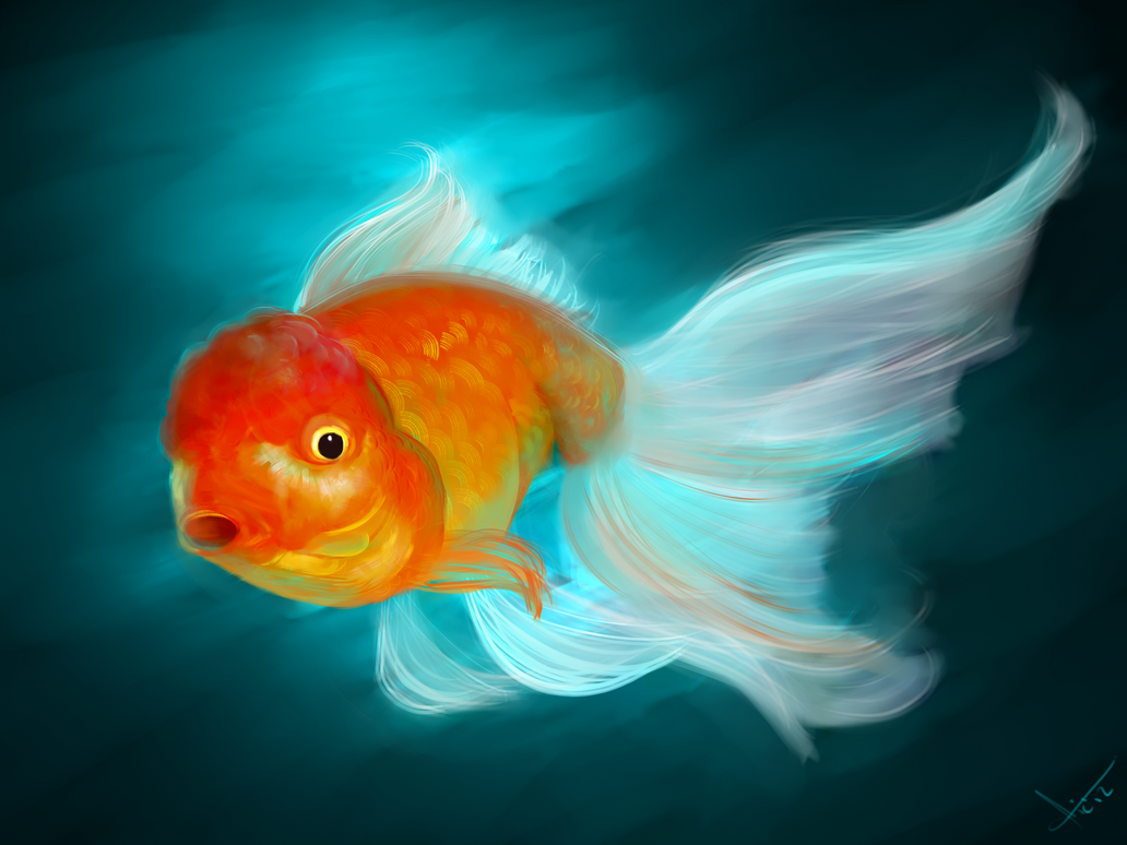 Gold fish. by victter-le-fou on DeviantArt