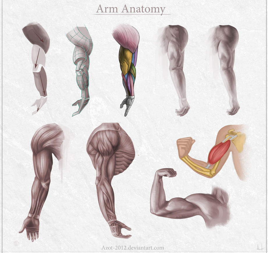 Anatomy Lessons: How to improve faster in 6 steps! by ...