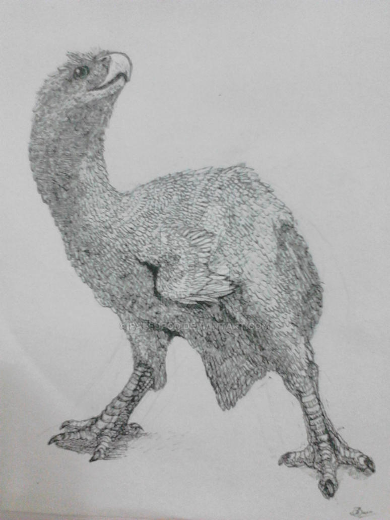 Terror bird real copy by Paleopod on DeviantArt
