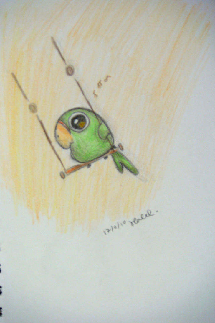 A Very Cute Parrot by 00i-love-them-all00 on DeviantArt