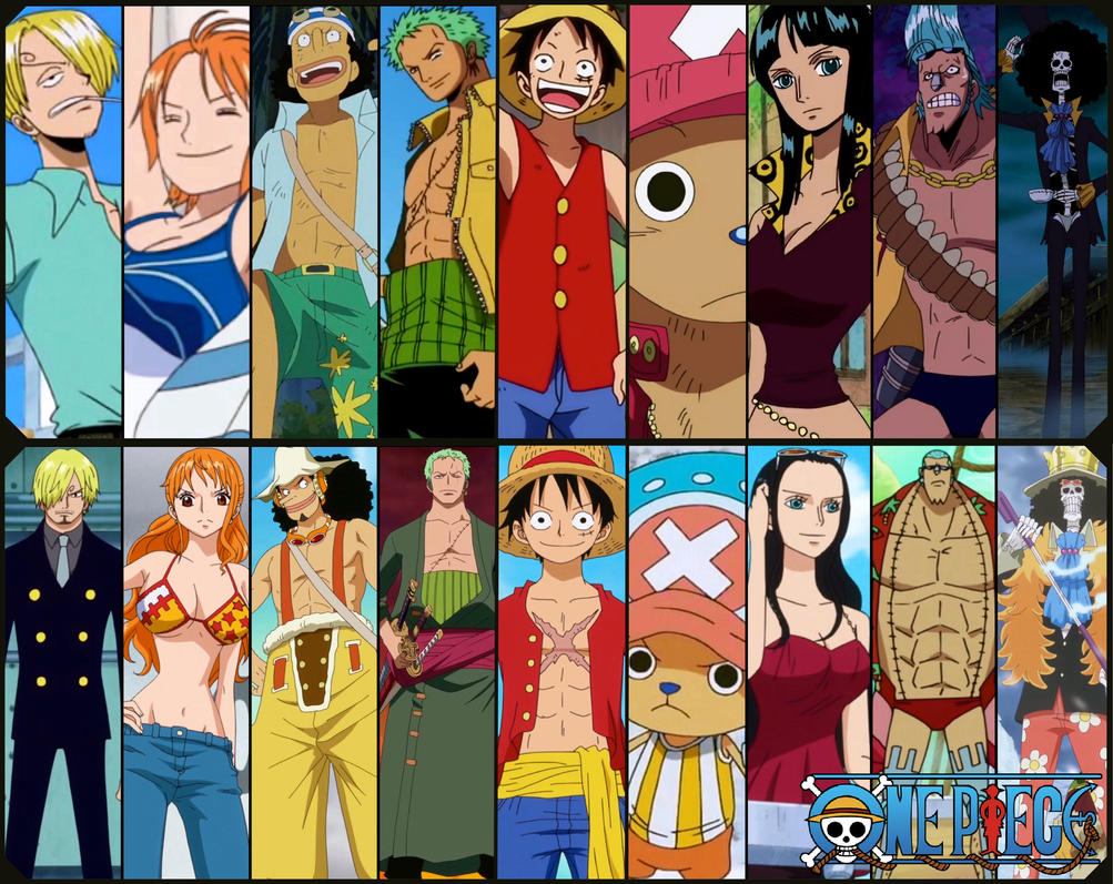 Straw Hat Pirates Members In Order One Piece: The Straw Hat Pirates by TheOrderOfNightmare on DeviantArt