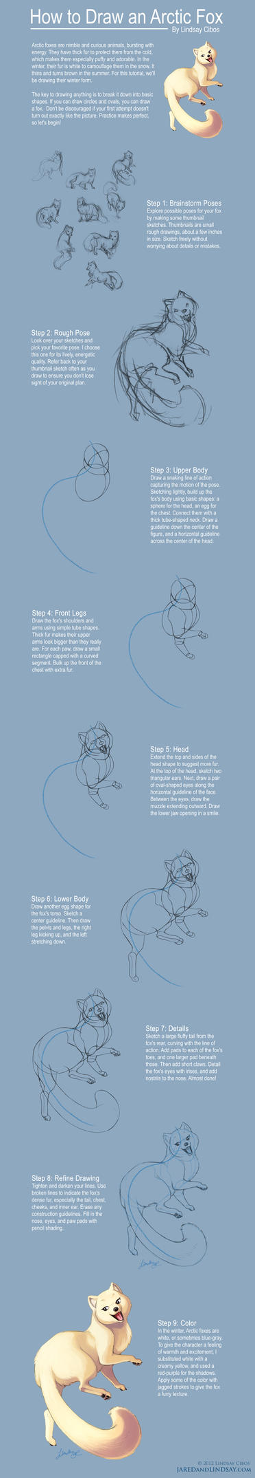 How to Draw an Arctic Fox by LCibos on DeviantArt