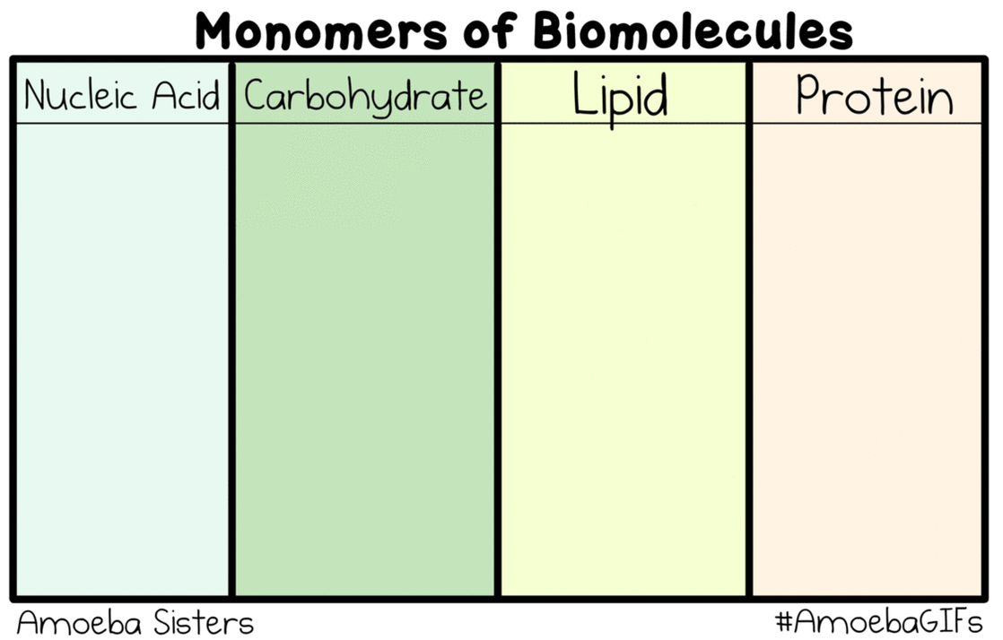 what are biomolecules