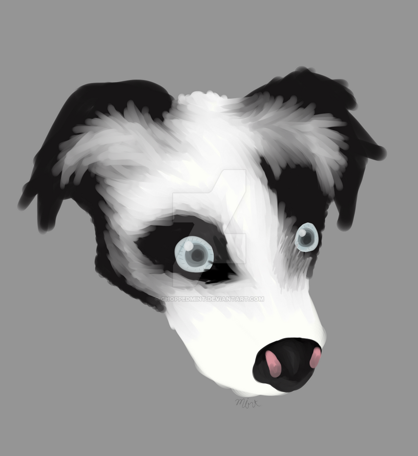 the_sheep_dog_by_choppedmint-dcsiphf.png