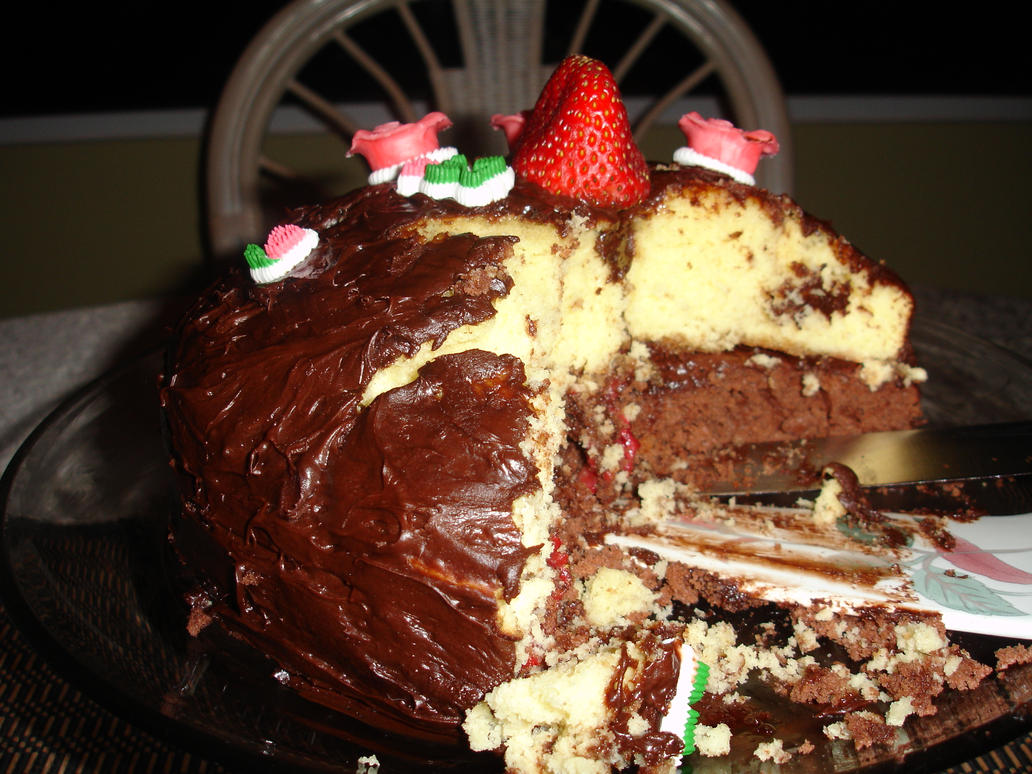 Image result for partially eaten birthday cake