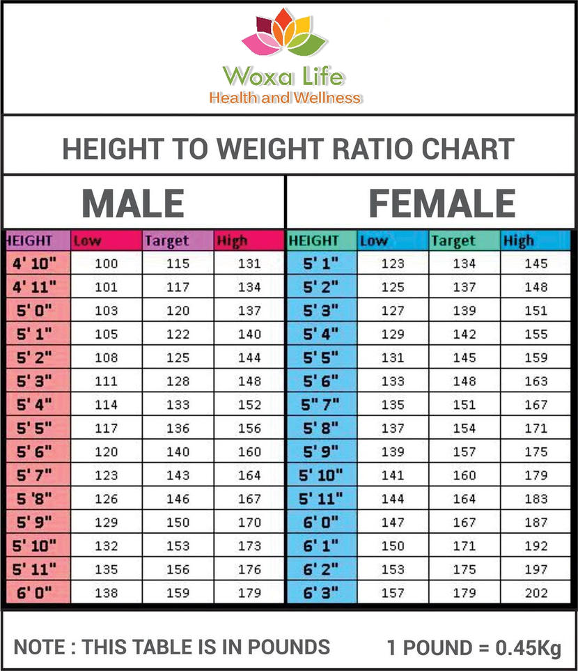 Height Weight Chart And Female