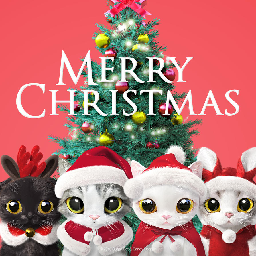 Christmas2016 Insta by sugarcat candydoggie · Sugarcat s Merry Christmas