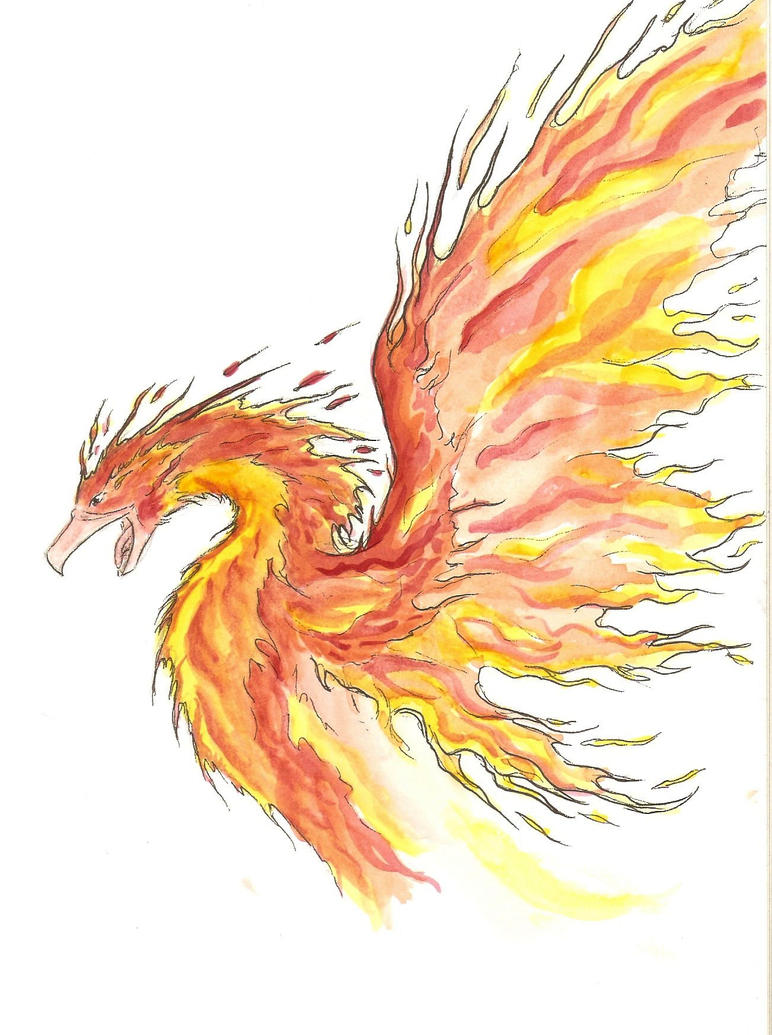 Phoenix in Watercolor by reizezdewickid on DeviantArt