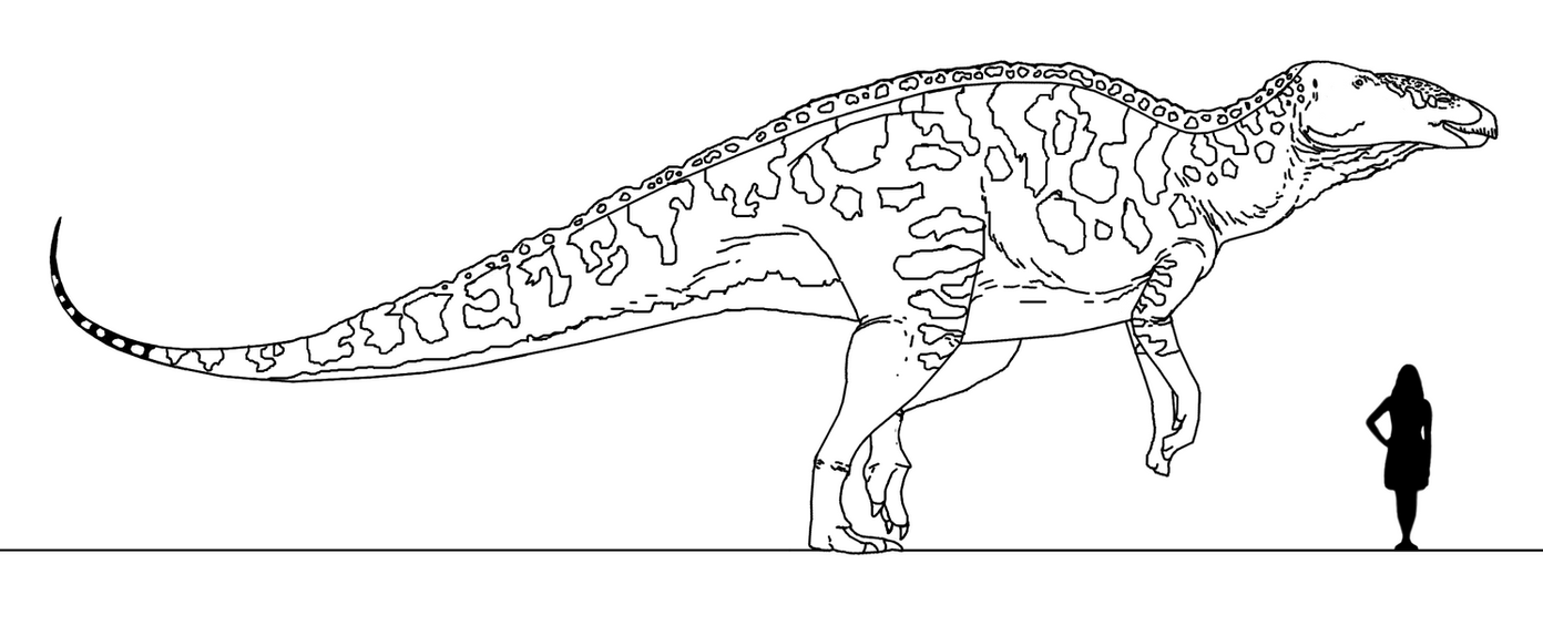 Resultado de imagen de anatotitan