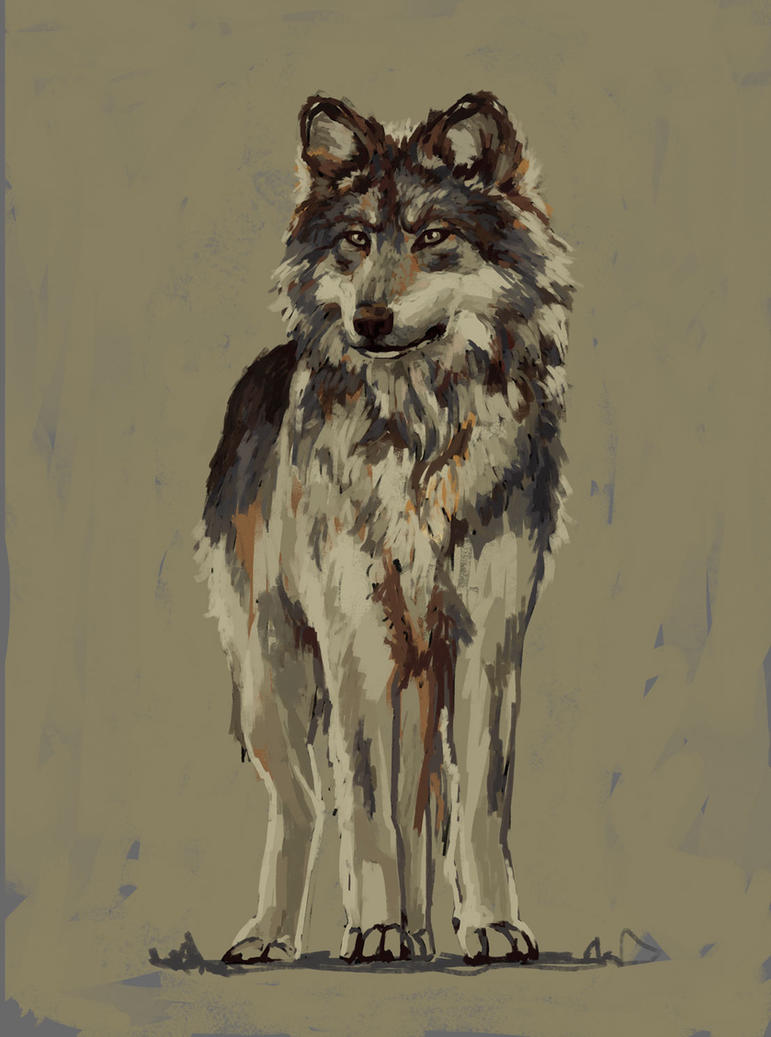 Female wolf by Unilt