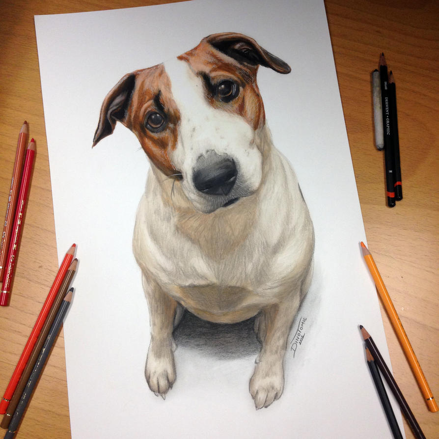  Dog  Drawing  by AtomiccircuS on DeviantArt