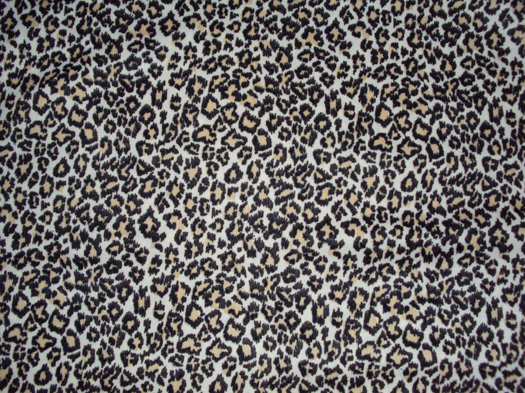 Another Leopard Texture By Ghoulskout On Deviantart 