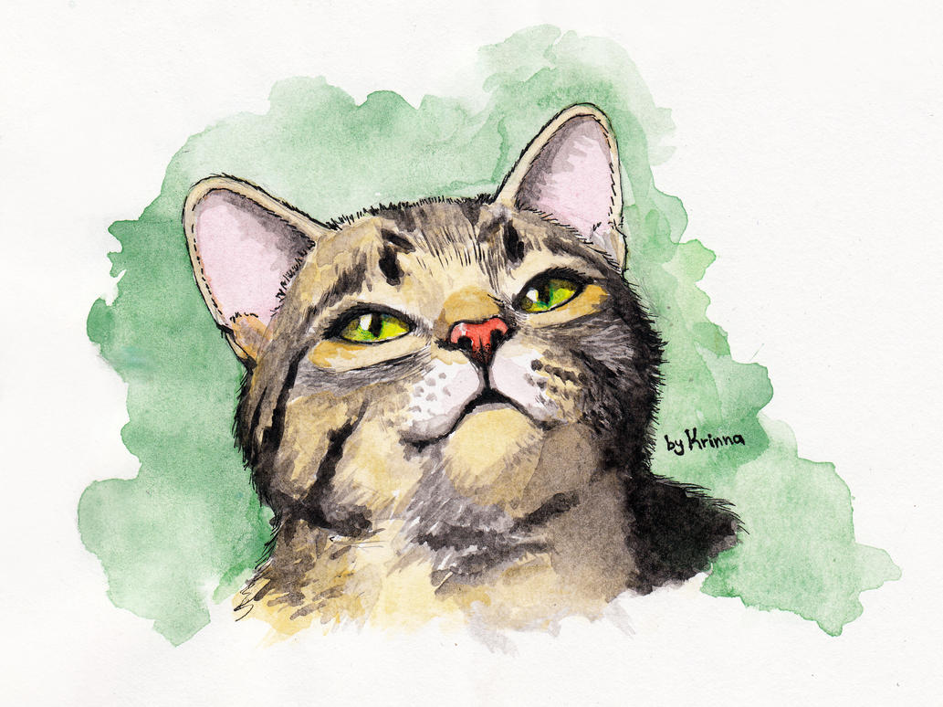 Cat Watercolor by Krinna on DeviantArt