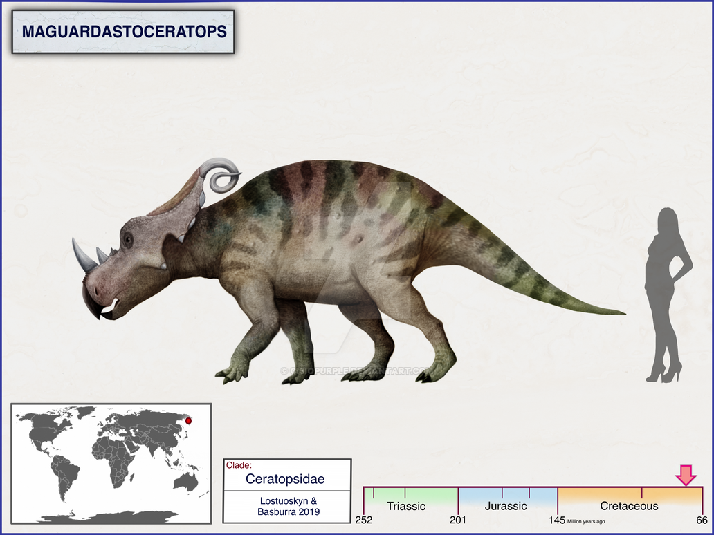 Maguardastoceratops by cisiopurple on DeviantArt1032 x 774