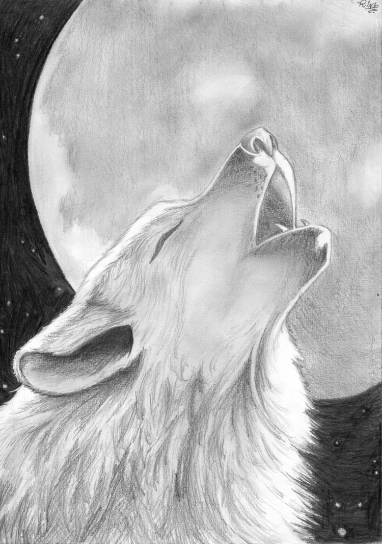 wolf and moon by Rinalexiel on DeviantArt
