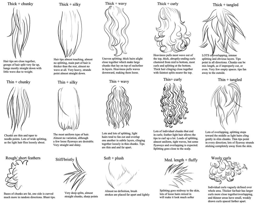 Tips for drawing different hair and fur types by ...
