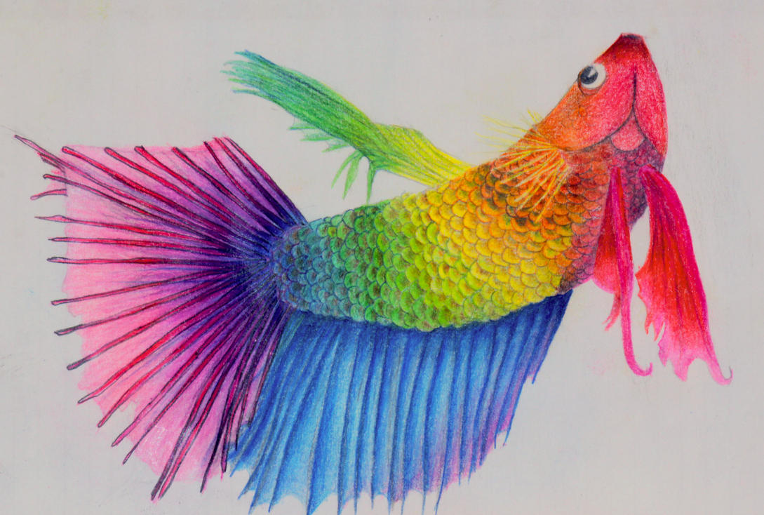 Rainbow Fish by African-Amber