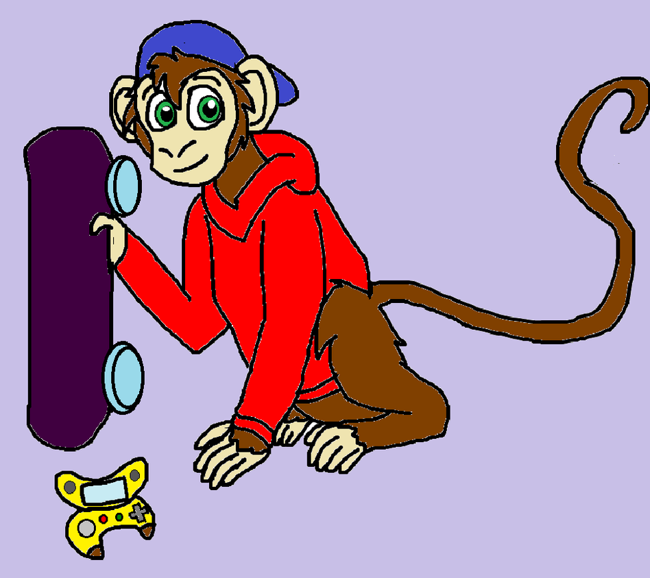 monkey travel zach