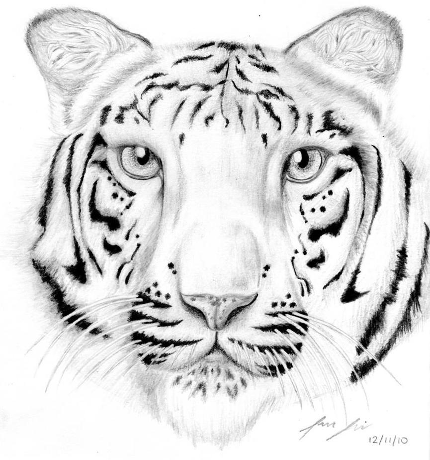 White Tiger by yun-hui-lee on DeviantArt
