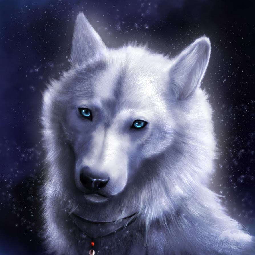 nagi-wolf-Commission-Speedpaint :::... by Artali-Artist on DeviantArt
