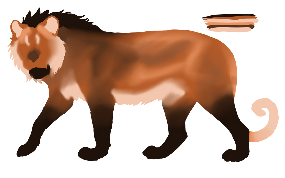 maned_wolf_lineless_by_tordronlin-dcsr3o8.png