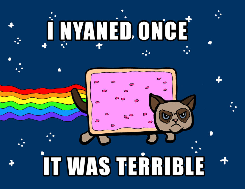 Grumpy Nyan Cat with caption by rockie-squirrel on DeviantArt