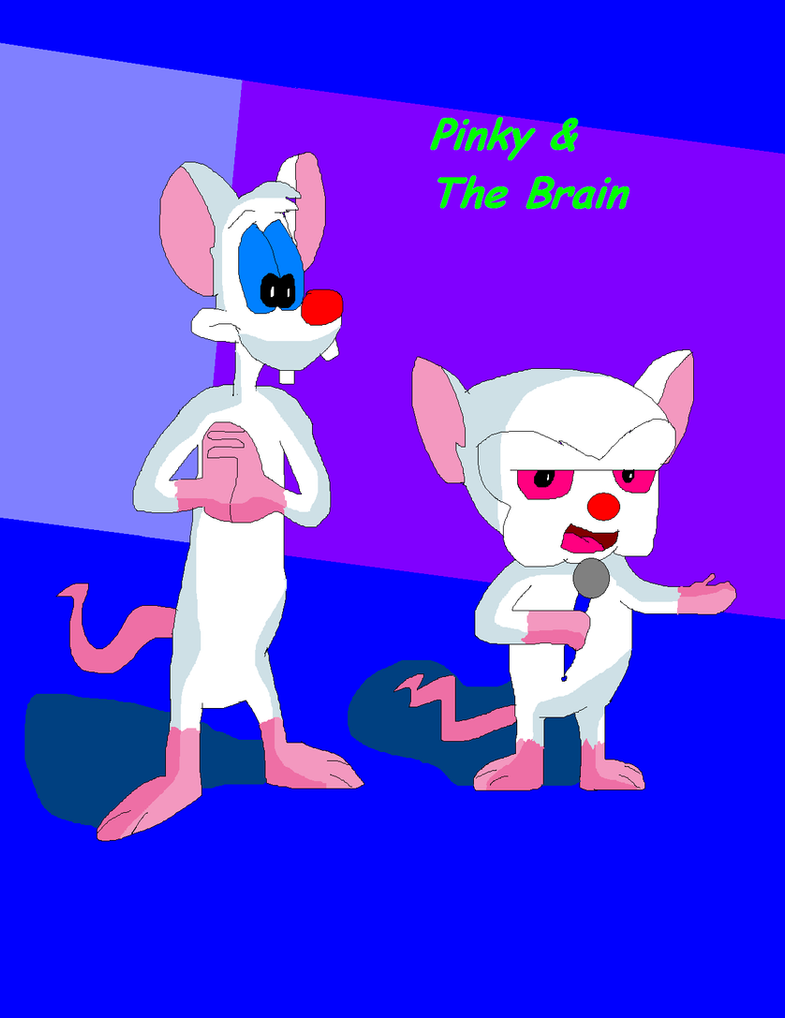Pinky and The Brain by TXToonGuy1037 on DeviantArt