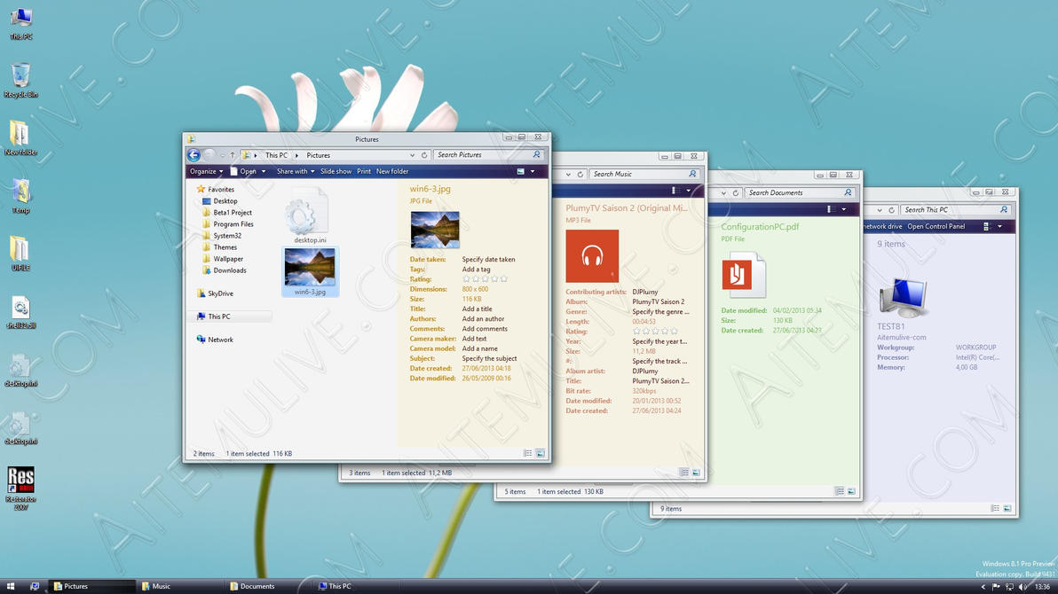 windows 8 pro themes download